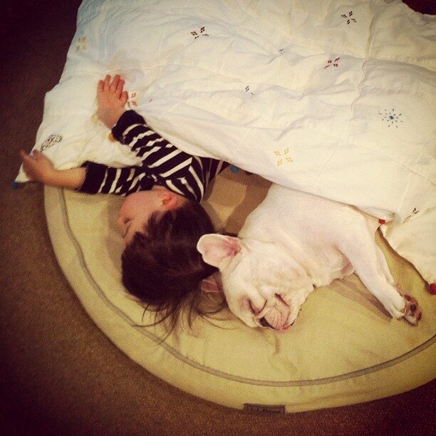 rebenok-i-buldog-8-4399782