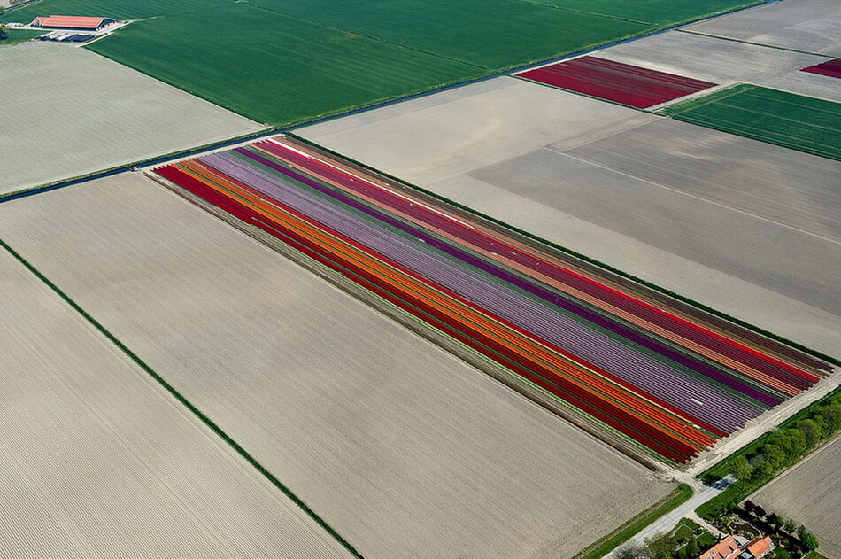 0_bcebb_b4f11396_orig-2616678