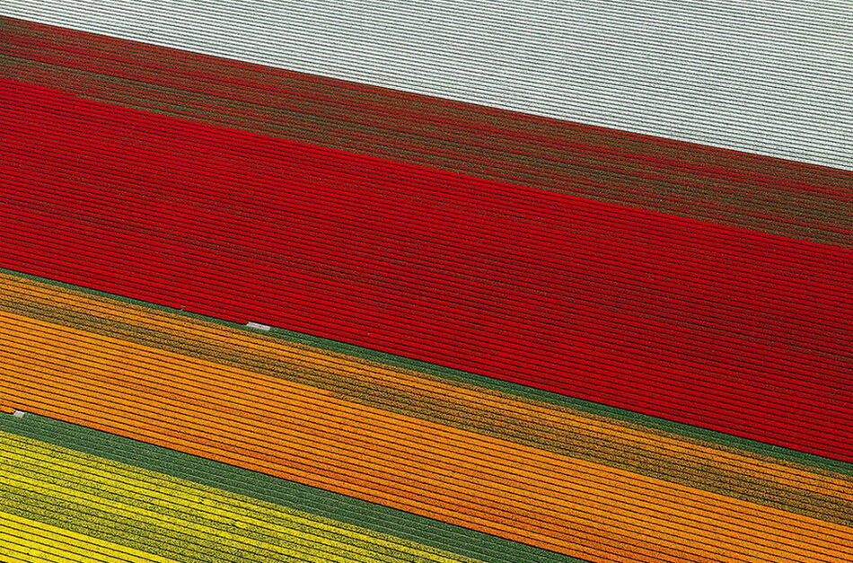 0_bcec2_24b6e251_orig-3755148