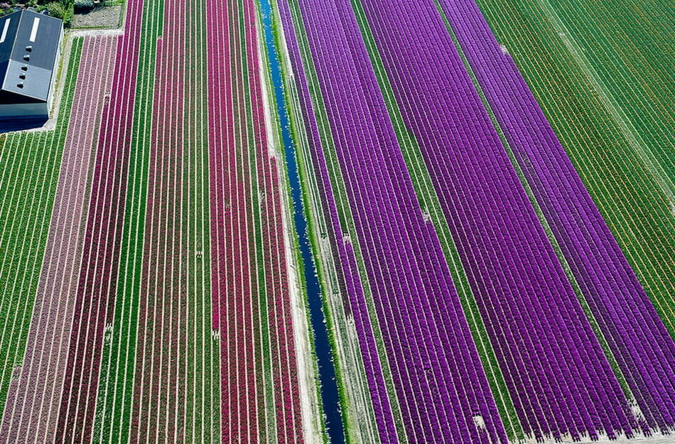 0_bcec3_24c97ba8_orig-7123884