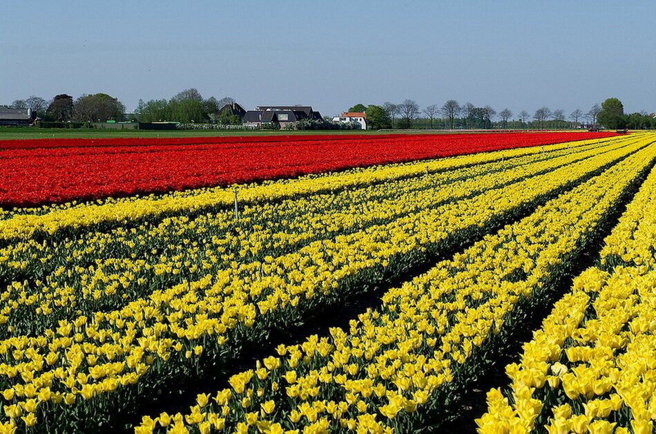 0_bceca_f20a060e_orig-7925186