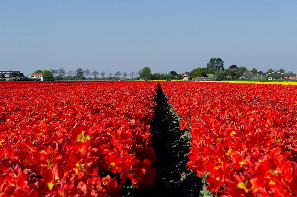 0_bcecb_fde3371e_orig-6329672