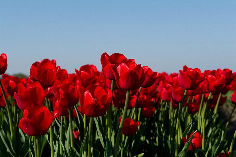 0_bcecc_76873b28_orig-3512541