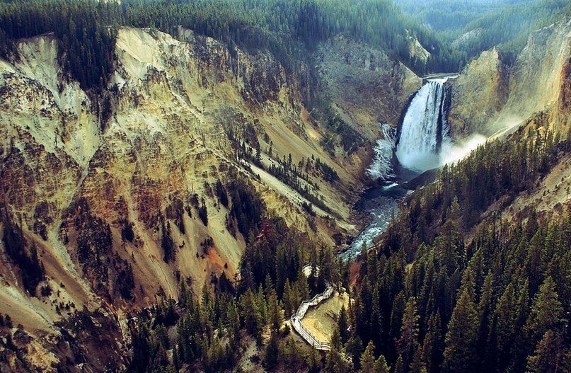 2980361_original-6389321