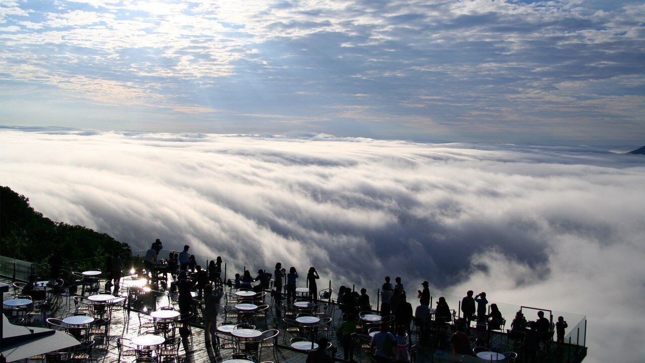 2981690_original-9224928