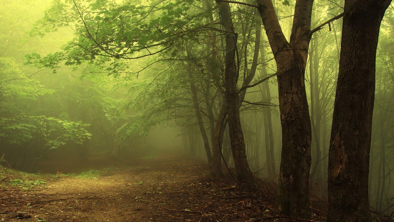 2982423_original-7438056