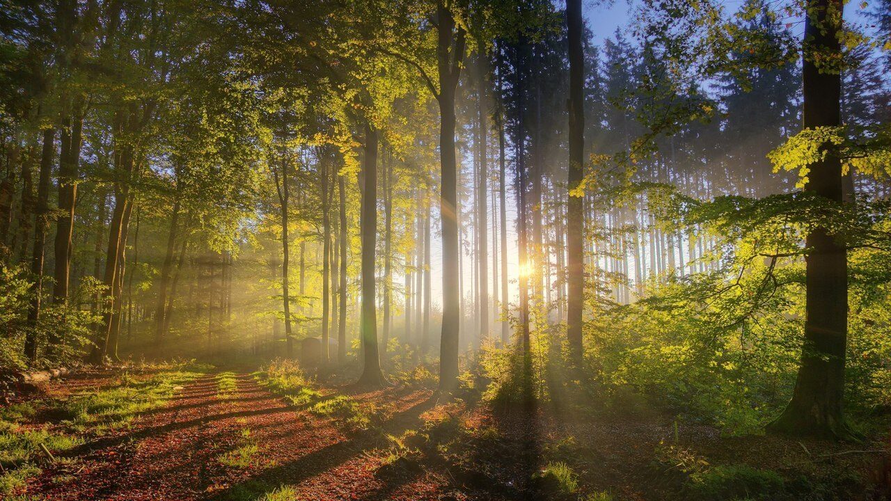 2984661_original-2014562